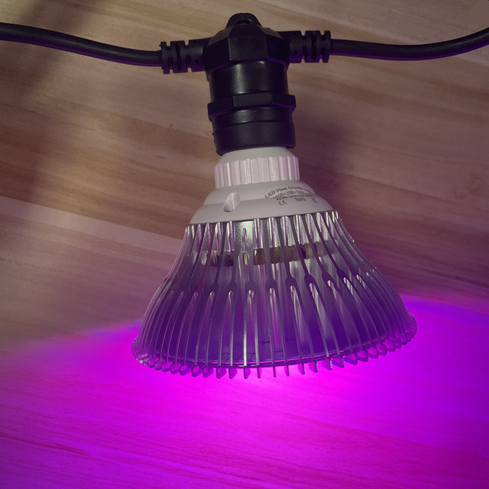 10M Cable LED String Commercia – Outdoor Lighting Permanent recenzja i cena